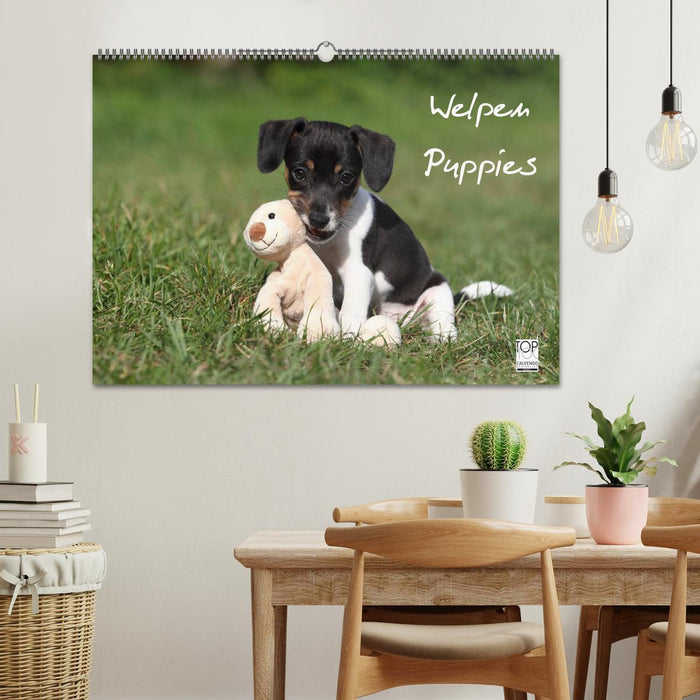 Welpen - Puppies (CALVENDO Wandkalender 2025)