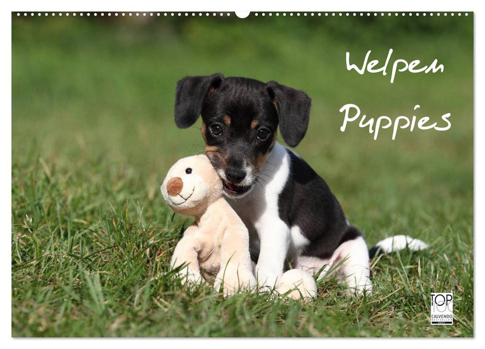 Welpen - Puppies (CALVENDO Wandkalender 2025)