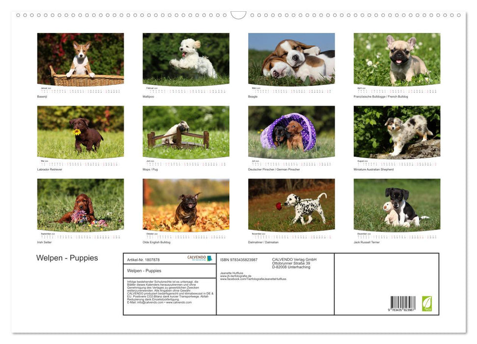 Welpen - Puppies (CALVENDO Wandkalender 2025)