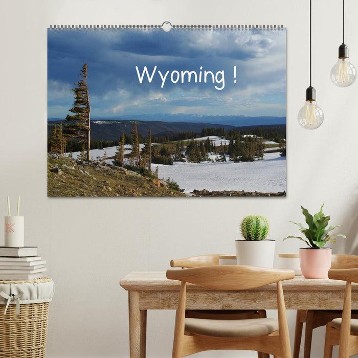 Wyoming! (CALVENDO Wandkalender 2025)