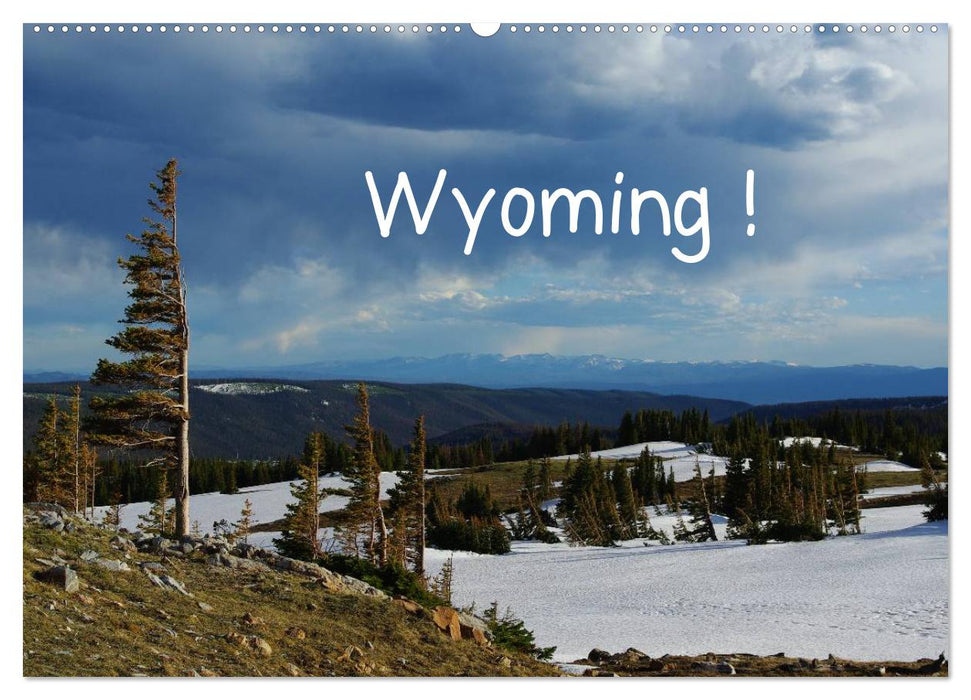 Wyoming! (CALVENDO Wandkalender 2025)