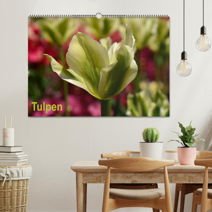 Tulpen (CALVENDO Wandkalender 2025)