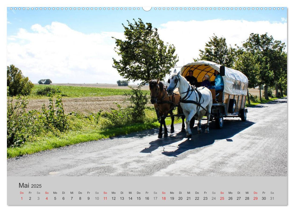 Rügen (CALVENDO Wandkalender 2025)