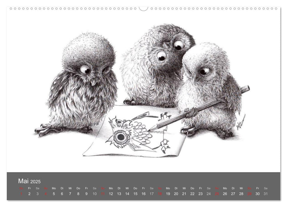 owls & friends 2025 (CALVENDO Wandkalender 2025)
