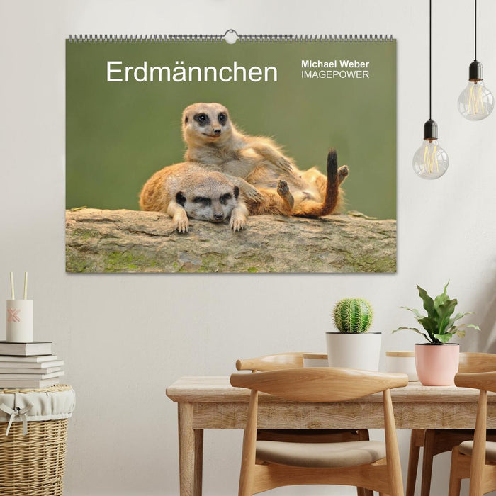 Erdmännchen - Tierkinder (CALVENDO Wandkalender 2025)