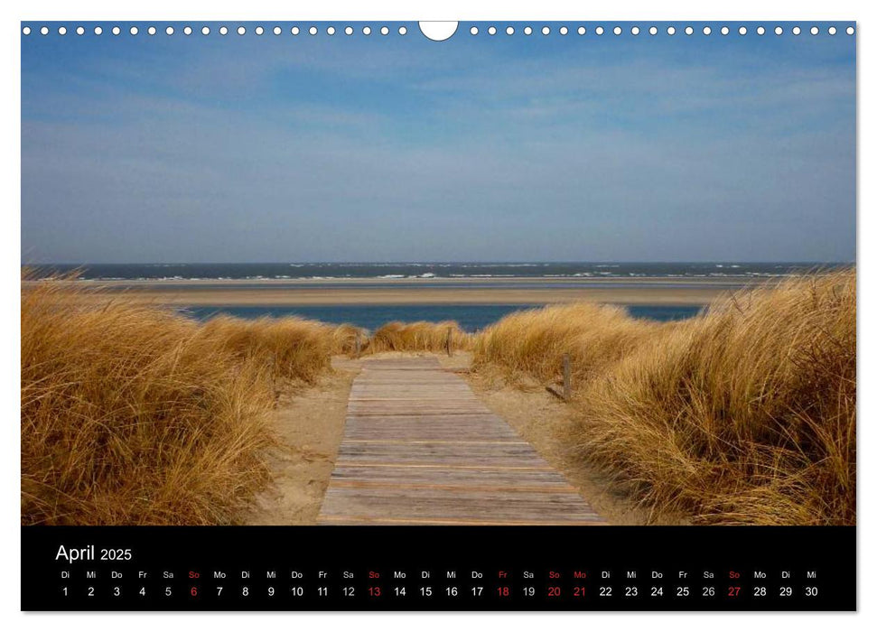 An der Nordsee (CALVENDO Wandkalender 2025)