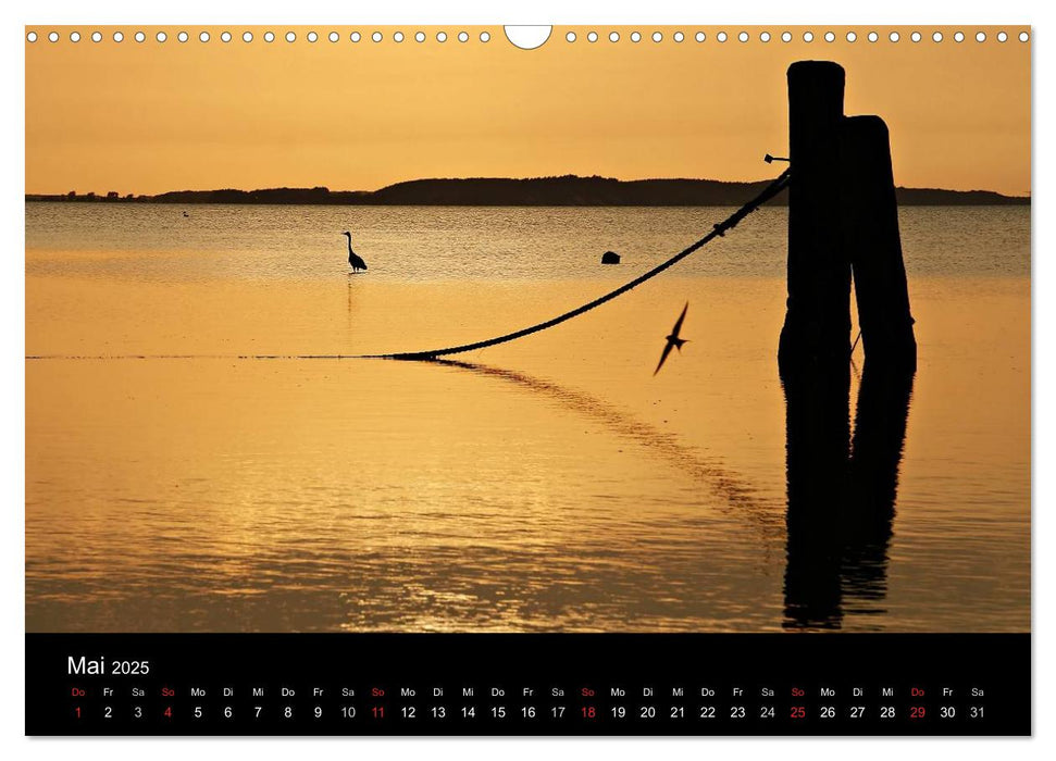 Rügen (CALVENDO Wandkalender 2025)