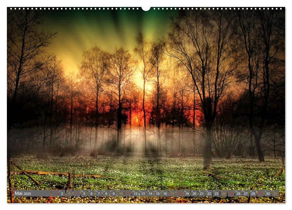 Friesland, verzauberte Landschaft an der Nordsee (CALVENDO Wandkalender 2025)