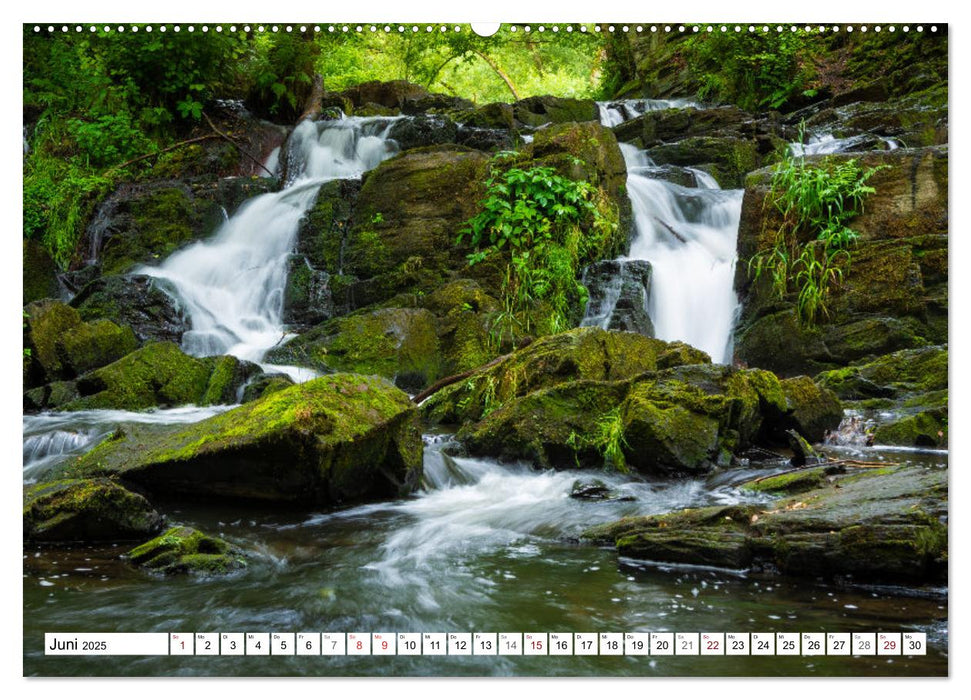 Sachsen-Anhalt - Meine vielfältige Heimat (CALVENDO Premium Wandkalender 2025)