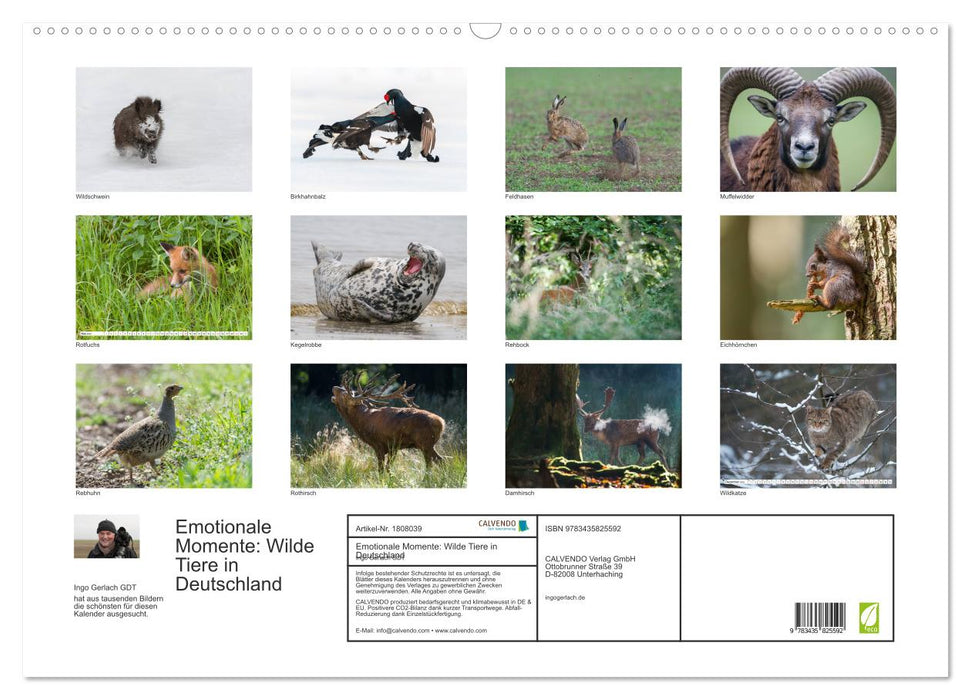 Emotionale Momente: Wilde Tiere in Deutschland (CALVENDO Wandkalender 2025)