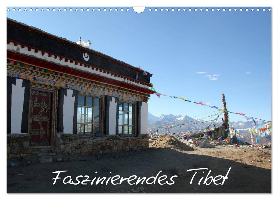 Faszinierendes Tibet (CALVENDO Wandkalender 2025)