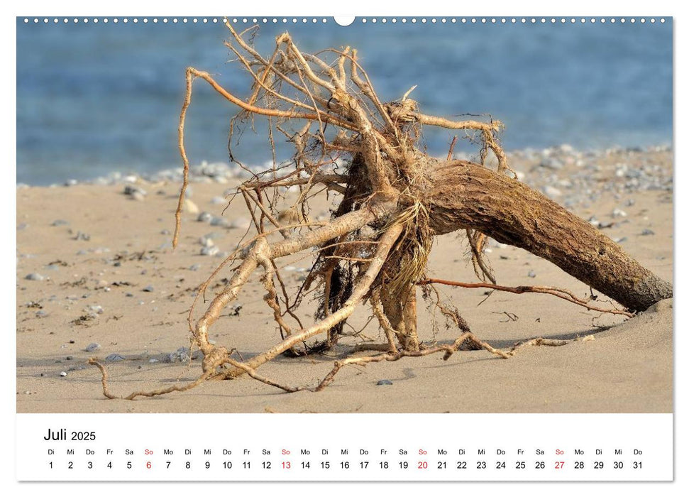 Insel Rügen Impressionen (CALVENDO Premium Wandkalender 2025)