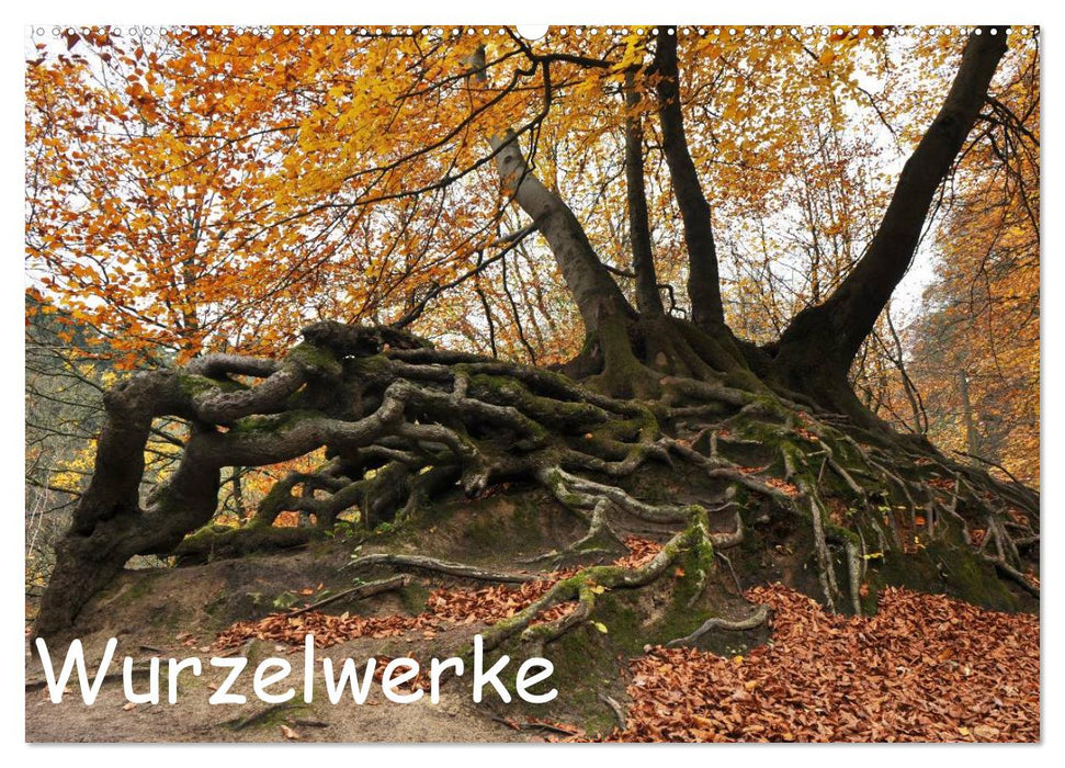 Wurzelwerke (CALVENDO Wandkalender 2025)