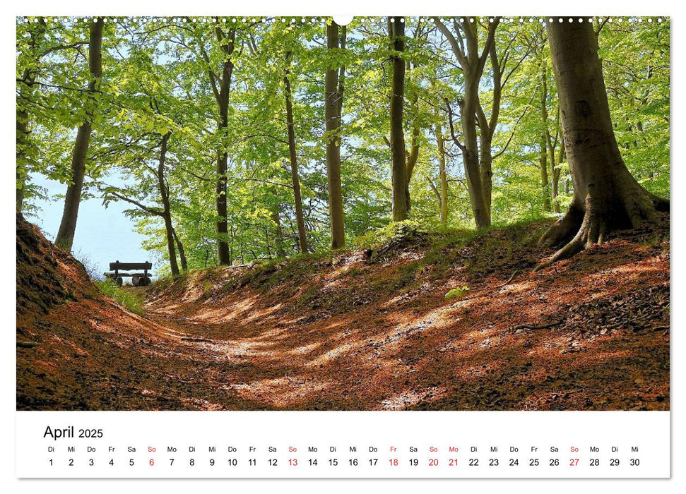 Insel Rügen (CALVENDO Premium Wandkalender 2025)