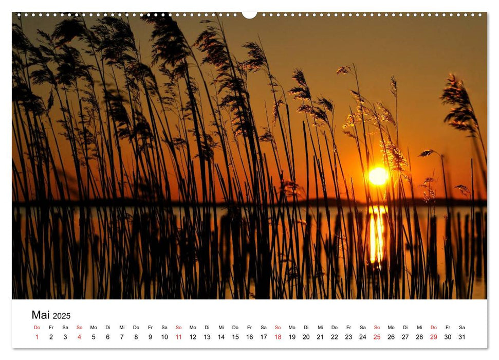 Insel Rügen (CALVENDO Premium Wandkalender 2025)