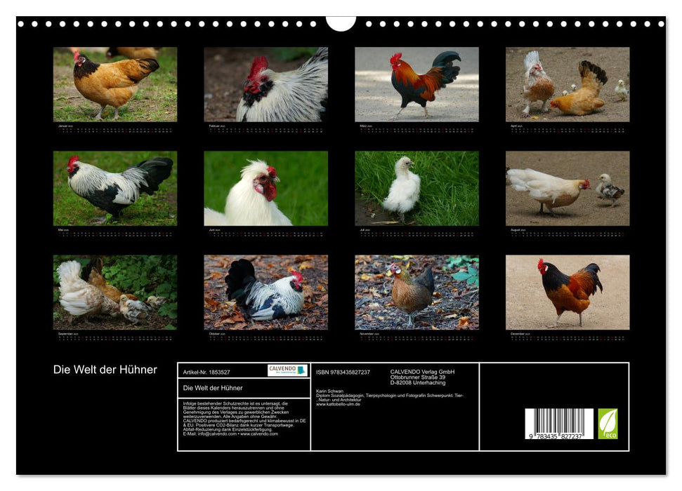 Die Welt der Hühner (CALVENDO Wandkalender 2025)