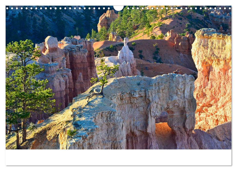 USA Landscapes (CALVENDO Wandkalender 2025)