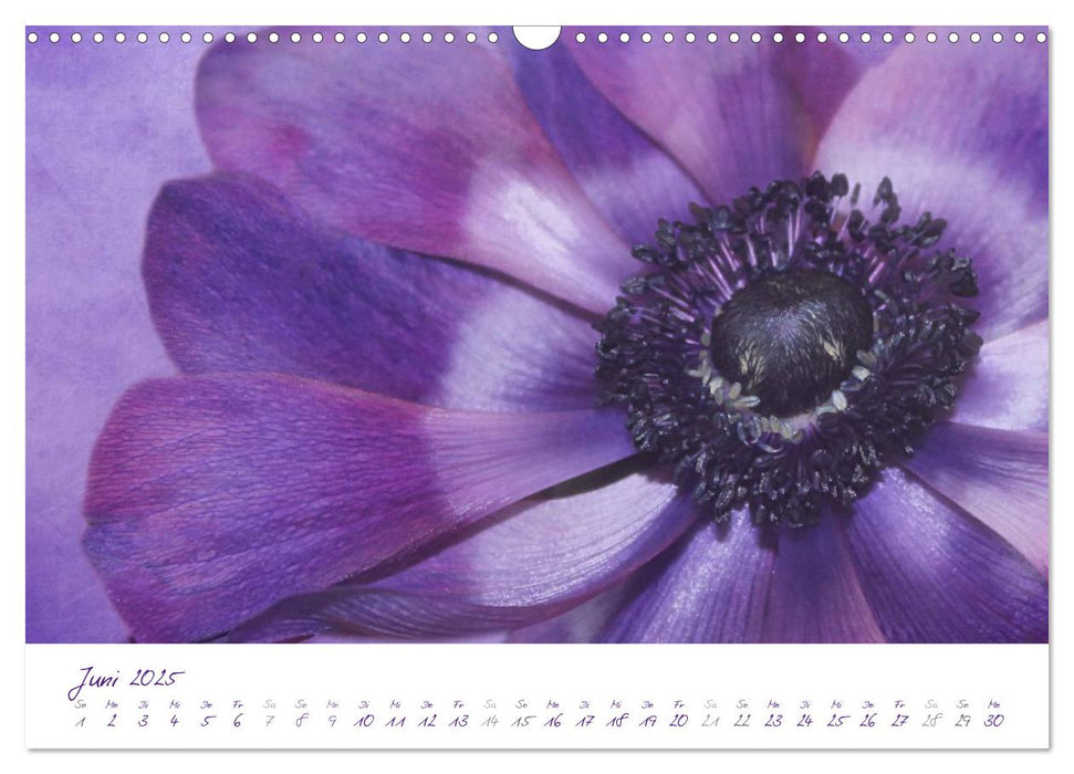 Lila Blüten (CALVENDO Wandkalender 2025)