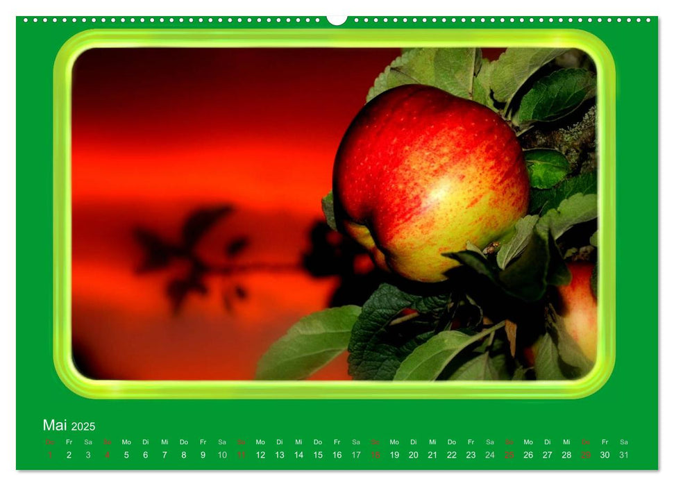 Apfel (CALVENDO Wandkalender 2025)