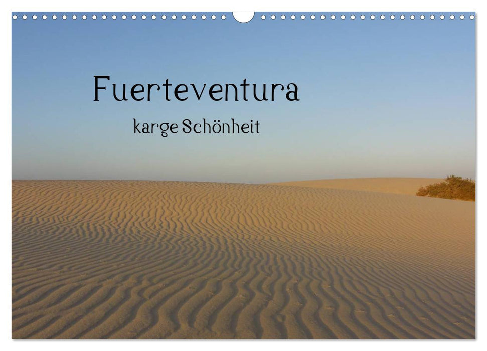 Fuerteventura - karge Schönheit (CALVENDO Wandkalender 2025)