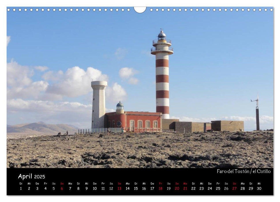 Fuerteventura - karge Schönheit (CALVENDO Wandkalender 2025)