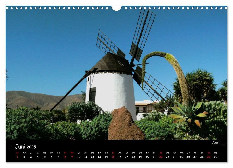 Fuerteventura - karge Schönheit (CALVENDO Wandkalender 2025)