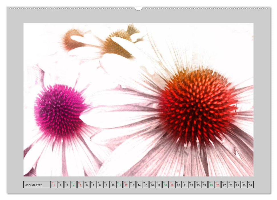 Blüten Impressionen (CALVENDO Premium Wandkalender 2025)