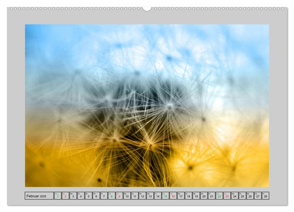 Blüten Impressionen (CALVENDO Premium Wandkalender 2025)