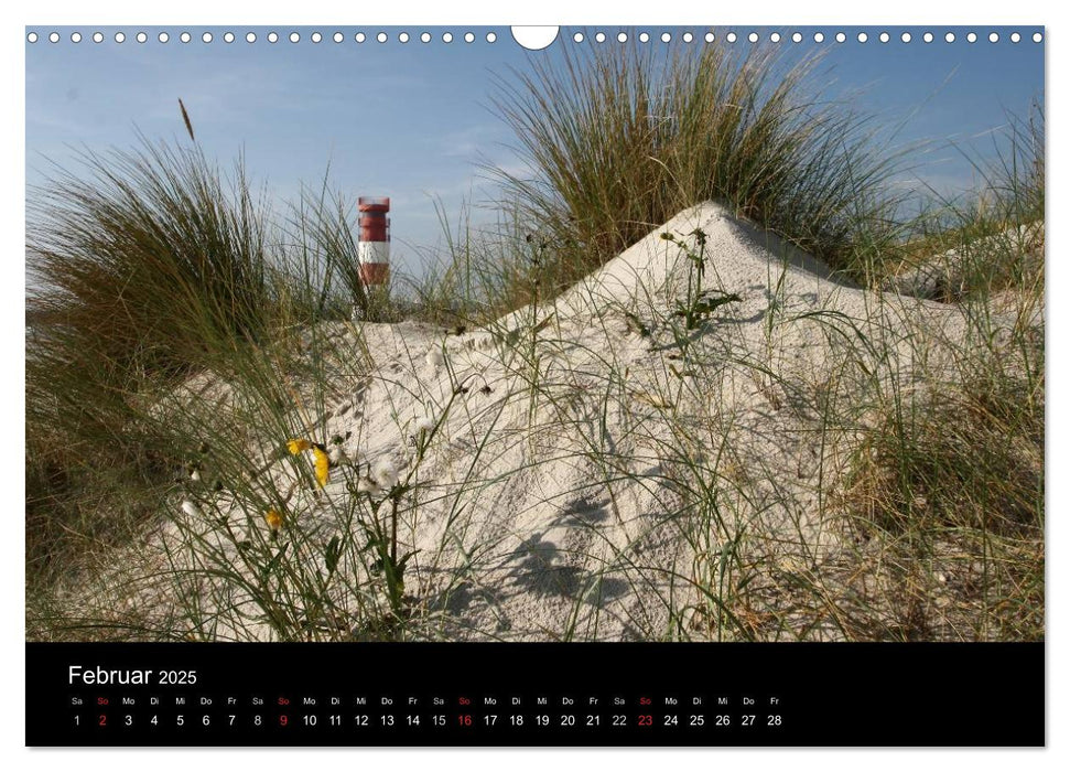 Wunderbare Nordsee (CALVENDO Wandkalender 2025)