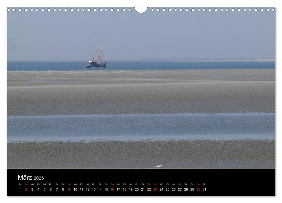 Wunderbare Nordsee (CALVENDO Wandkalender 2025)