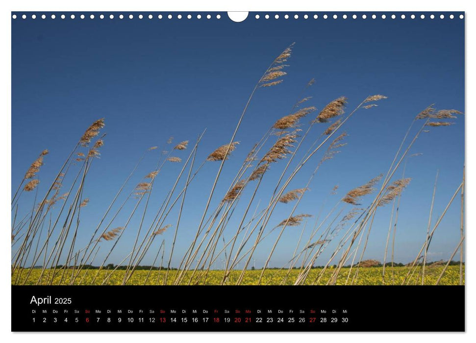 Wunderbare Nordsee (CALVENDO Wandkalender 2025)