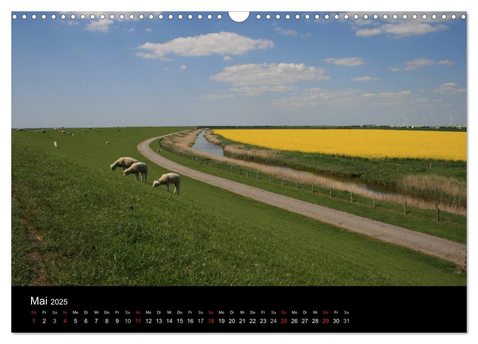 Wunderbare Nordsee (CALVENDO Wandkalender 2025)