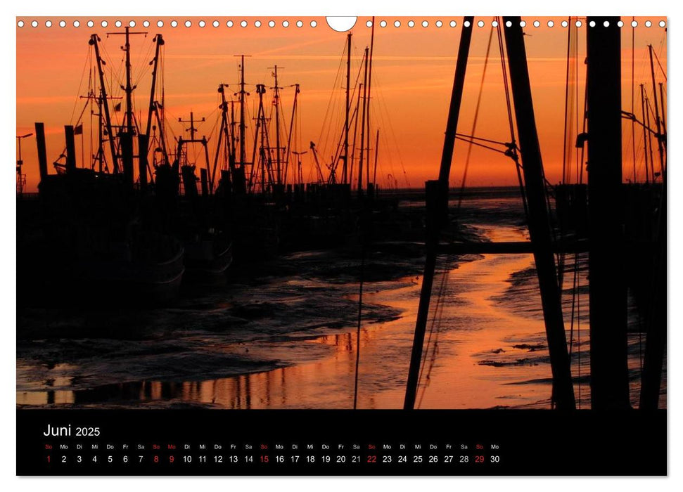 Wunderbare Nordsee (CALVENDO Wandkalender 2025)