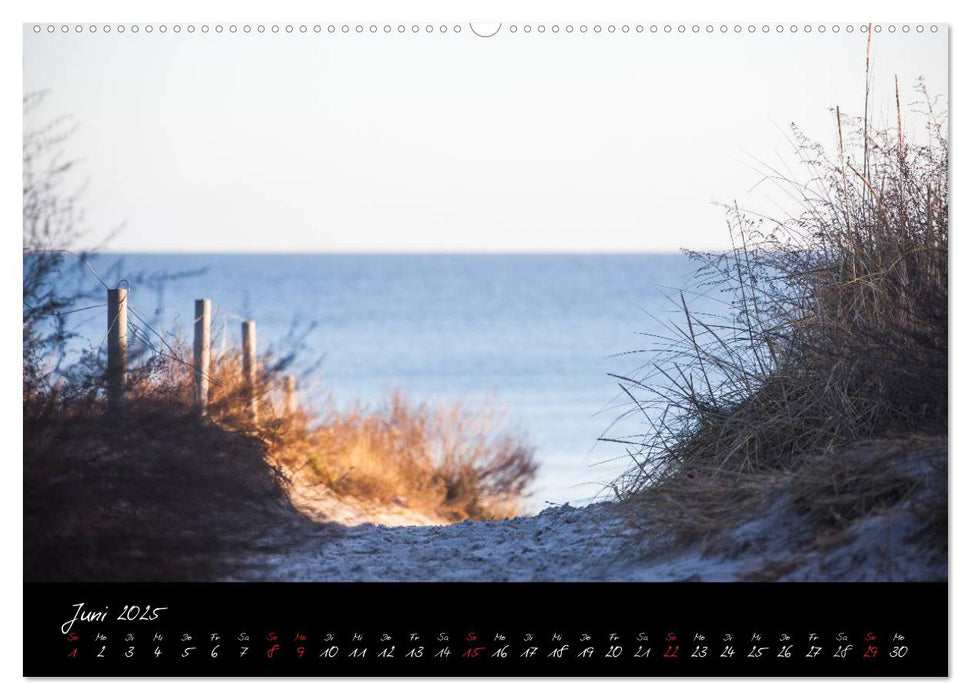 Rügen-Impressionen (CALVENDO Wandkalender 2025)