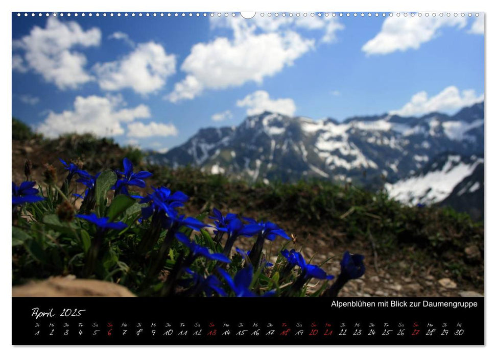 Allgäuer Bergblicke (CALVENDO Wandkalender 2025)