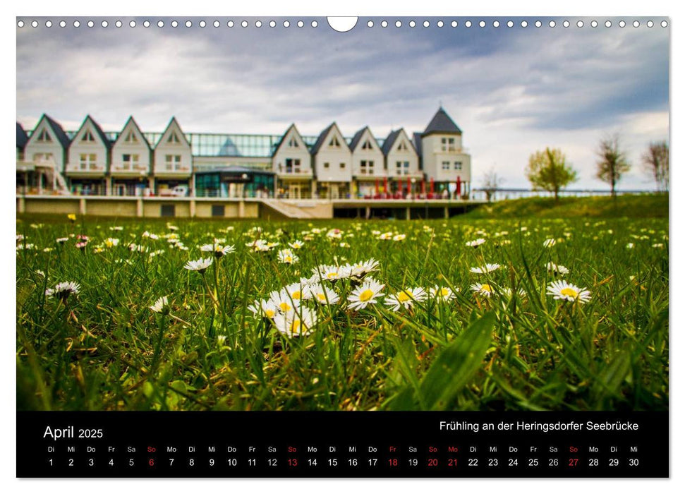 Die Insel Usedom in Bildern (CALVENDO Wandkalender 2025)