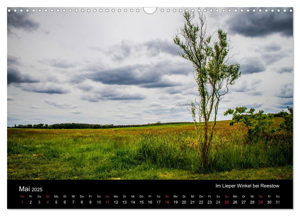 Die Insel Usedom in Bildern (CALVENDO Wandkalender 2025)