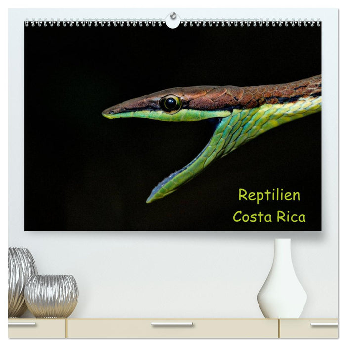 Reptilien Costa Rica (CALVENDO Premium Wandkalender 2025)