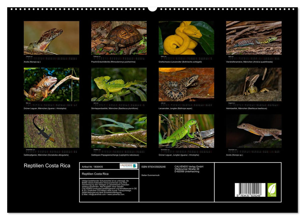 Reptilien Costa Rica (CALVENDO Premium Wandkalender 2025)