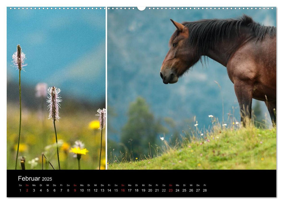 Alpenwelt 2025 (CALVENDO Premium Wandkalender 2025)