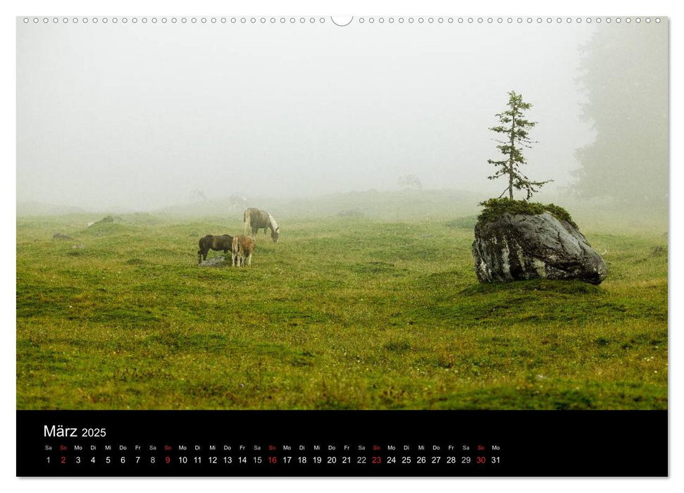 Alpenwelt 2025 (CALVENDO Premium Wandkalender 2025)