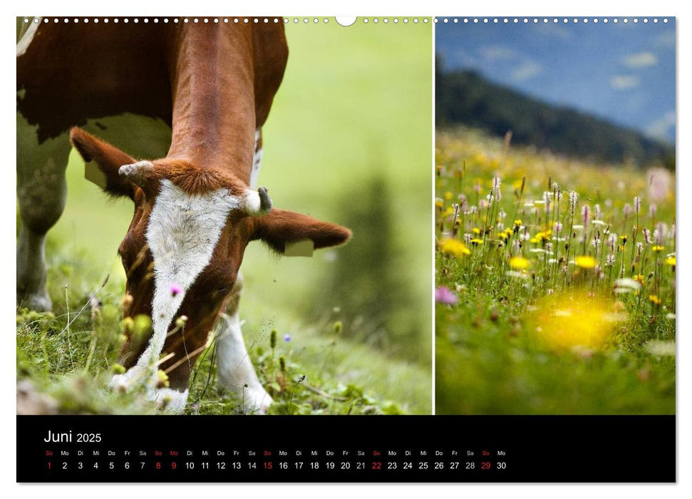 Alpenwelt 2025 (CALVENDO Premium Wandkalender 2025)