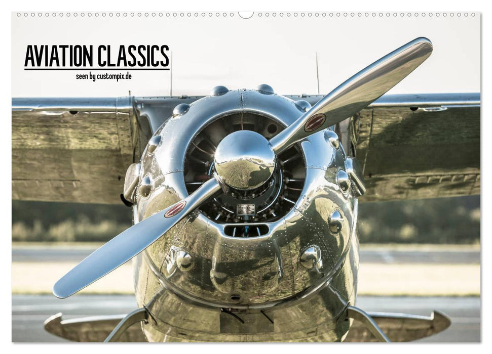 AVIATION CLASSICS seen by custompix.de (CALVENDO Wandkalender 2025)