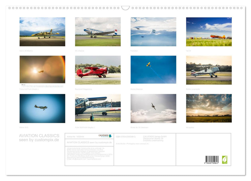 AVIATION CLASSICS seen by custompix.de (CALVENDO Wandkalender 2025)