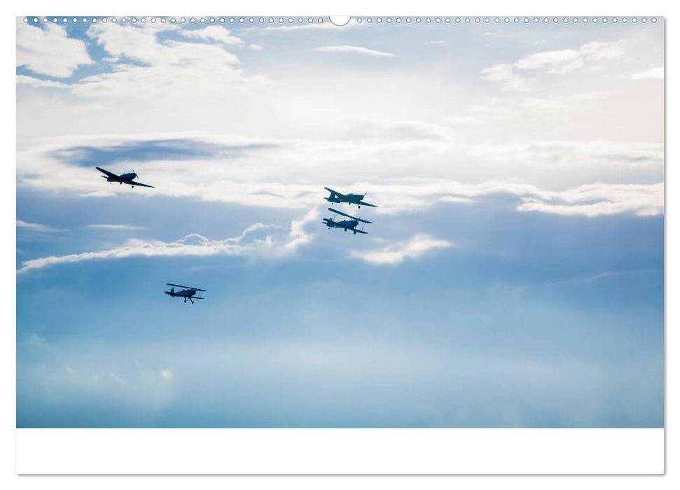 AVIATION CLASSICS seen by custompix.de (CALVENDO Wandkalender 2025)