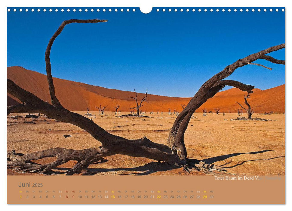 Afrika Impressionen. NAMIBIA - SÜDAFRIKA - BOTSWANA (CALVENDO Wandkalender 2025)