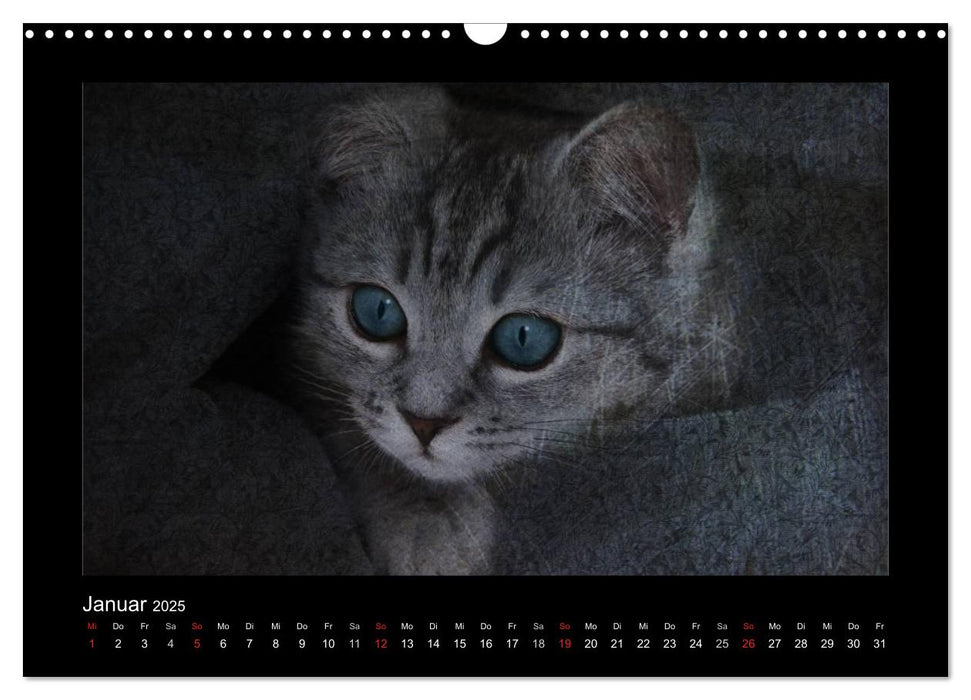 Animals (CALVENDO Wandkalender 2025)