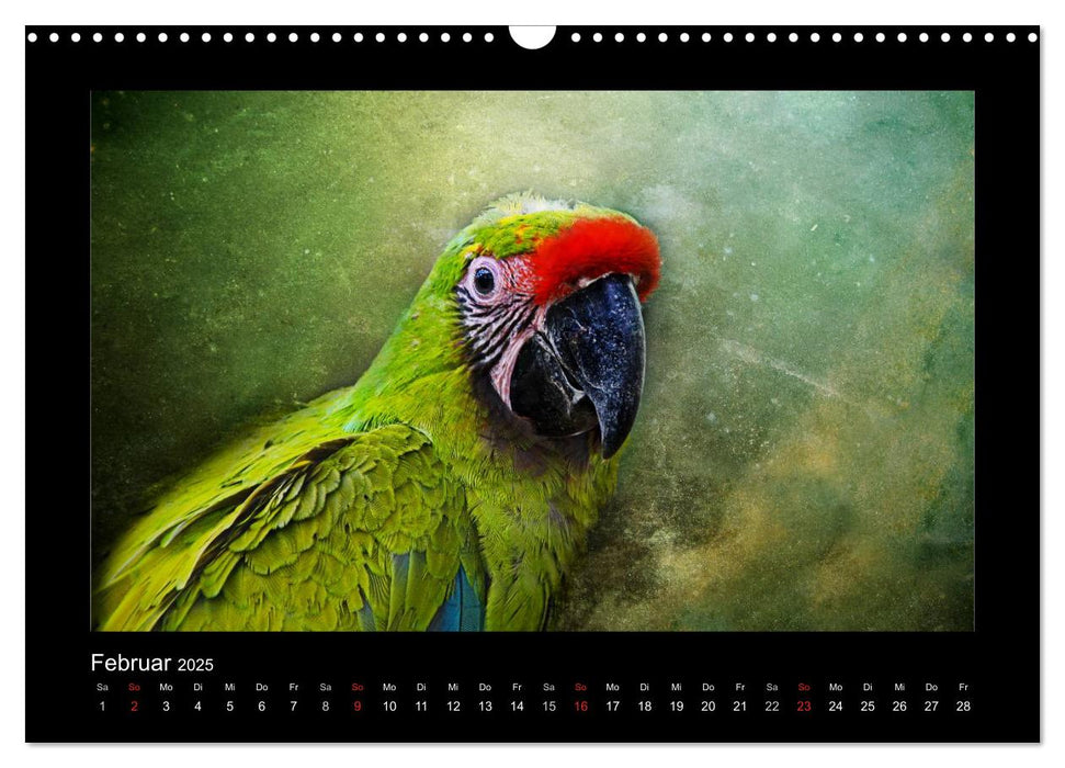 Animals (CALVENDO Wandkalender 2025)