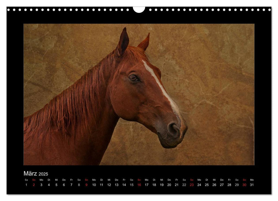 Animals (CALVENDO Wandkalender 2025)