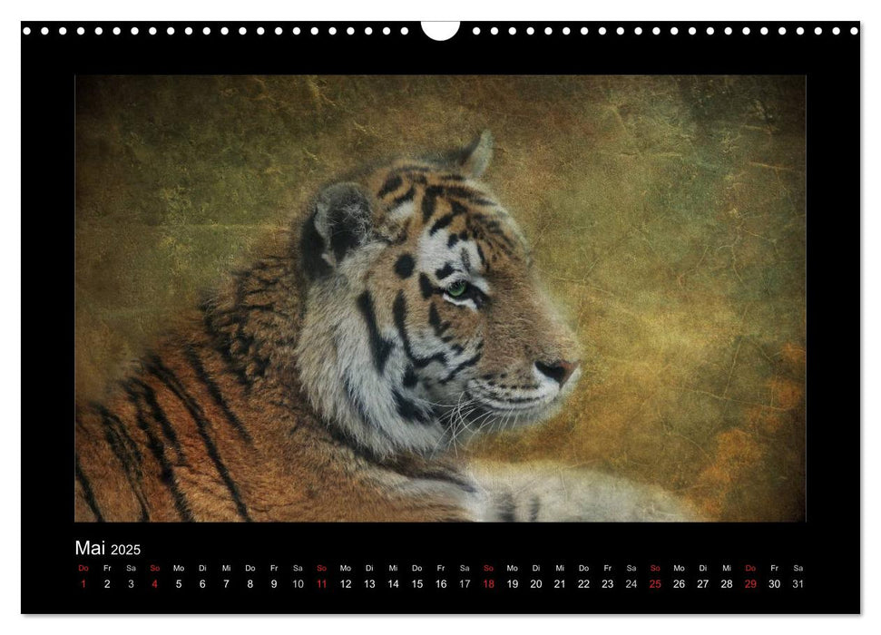 Animals (CALVENDO Wandkalender 2025)